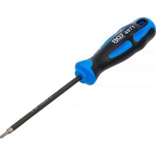 Schraubendreher | diamantbeschichtet | T-Profil (für Torx) T10 | Klingenlänge 100 mm