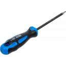 Schraubendreher | diamantbeschichtet | T-Profil (für Torx) T10 | Klingenlänge 100 mm