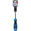 Schraubendreher | diamantbeschichtet | T-Profil (für Torx) T10 | Klingenlänge 100 mm