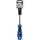 Schraubendreher | diamantbeschichtet | T-Profil (für Torx) T15 | Klingenlänge 100 mm