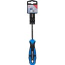Schraubendreher | diamantbeschichtet | T-Profil (für Torx) T20 | Klingenlänge 100 mm