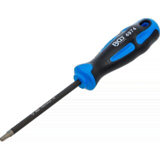 Schraubendreher | diamantbeschichtet | T-Profil (für Torx) T25 | Klingenlänge 100 mm