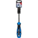 Schraubendreher | diamantbeschichtet | T-Profil (für Torx) T25 | Klingenlänge 100 mm