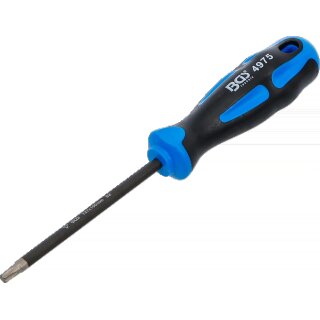 Schraubendreher | diamantbeschichtet | T-Profil (für Torx) T27 | Klingenlänge 100 mm