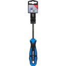 Schraubendreher | diamantbeschichtet | T-Profil (für Torx) T27 | Klingenlänge 100 mm