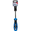 Schraubendreher | diamantbeschichtet | T-Profil (für Torx) T30 | Klingenlänge 100 mm