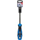 Schraubendreher | diamantbeschichtet | T-Profil (für Torx) T40 | Klingenlänge 125 mm