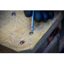 Winkelschlüssel-Satz | T-Profil (für Torx) mit Kugelkopf | T10 - T50 | 9-tlg.