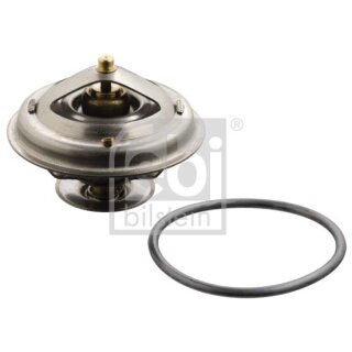 Thermostat, Kühlmittel