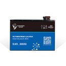 Ultimatron LiFePo4 Batterie ULM-12-560