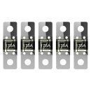 Offgridtec 5er-Set MIDI Sicherung 175A 58V