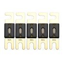 Offgridtec 30A 72V ANL Sicherung DIN43560/1 5er-Set