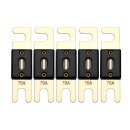 Offgridtec 70A 72V ANL Sicherung DIN43560/1 5er-Set