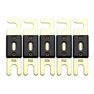 Offgridtec 80A 72V ANL Sicherung DIN43560/1 5er-Set