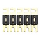 Offgridtec 80A 72V ANL Sicherung DIN43560/1 5er-Set