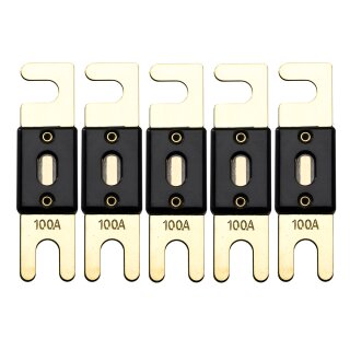 Offgridtec 100A 72V ANL Sicherung DIN43560/1 5er-Set
