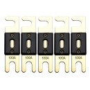 Offgridtec 100A 72V ANL Sicherung DIN43560/1 5er-Set