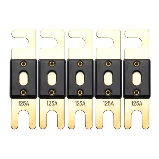 Offgridtec 125A 72V ANL Sicherung DIN43560/1 5er-Set