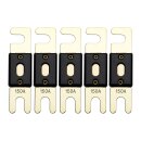 Offgridtec 150A 72V ANL Sicherung DIN43560/1 5er-Set