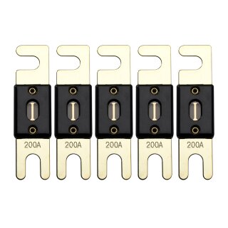 Offgridtec 200A 72V ANL Sicherung DIN43560/1 5er-Set