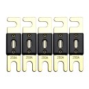 Offgridtec 250A 72V ANL Sicherung DIN43560/1 5er-Set