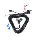 Relais-Verkabelungssatz Purelux Pro Serie 12V, DT-2, 1 Ausgang (DT)