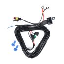 Kabelbaum mit Relais Pureux AMP 2-polig Superseal, 12 V